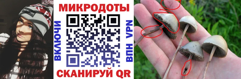 Галлюциногенные грибы ЛСД  Мглин 